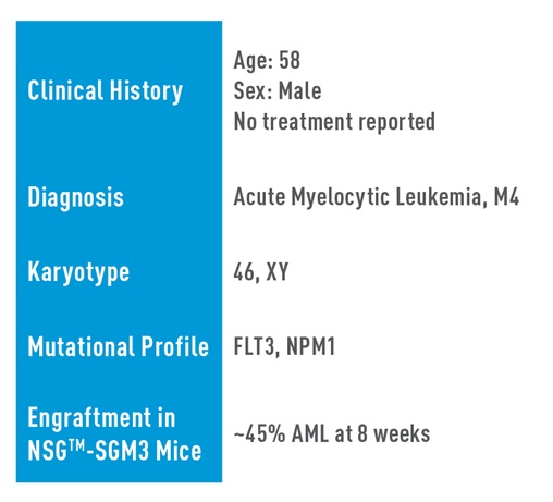 AML Studies