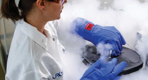 Respond and Recover: Risk Mitigation Through Cryopreservation